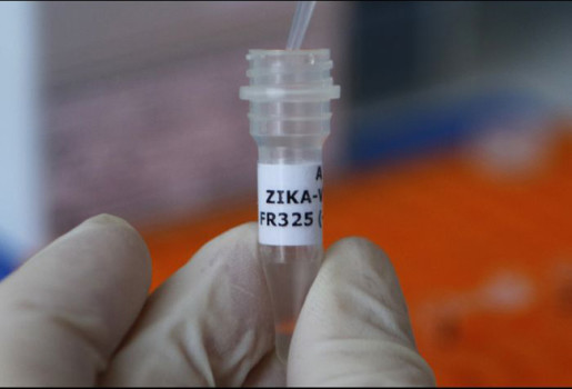 ZIKA VIRUS