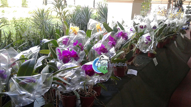 f59aa5cf-45cd-4655-ae26-19b3dd4ee29c