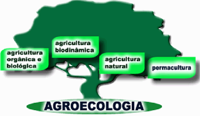agroecologia projeto