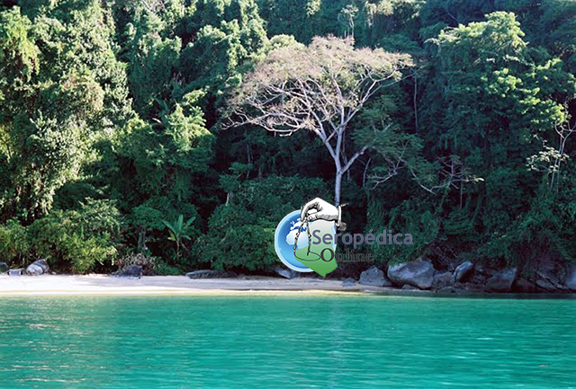 Ilha-da-Gipóia-Angra-dos-Reis