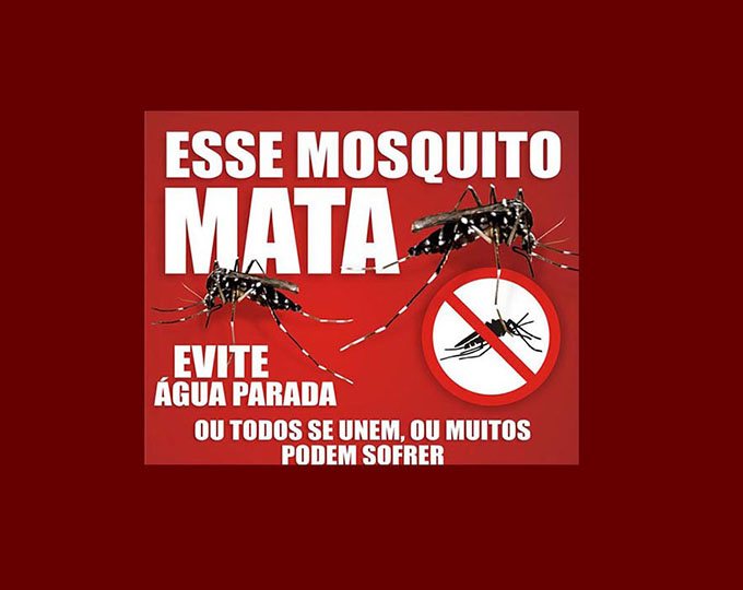 mosquito-dengue