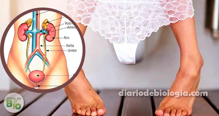 fara urinare