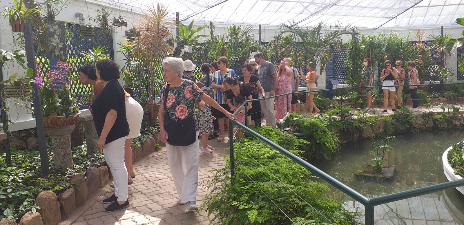 Orquidário do Jardim Botânico do Rio é reaberto ao público | Seropédica  Online | Notícias de Seropédica, do Brasil e do Mundo